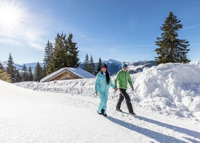 Appartement Sonnenalp Markbachjoch Xl Niederau