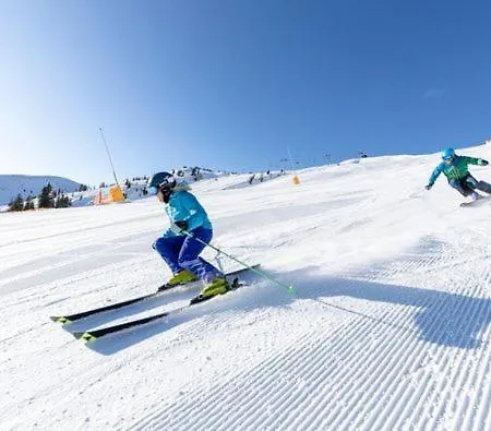 Sonnenalp Markbachjoch Xl Apartament Niederau