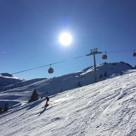 Apartmán Sonnenalp Markbachjoch Xl Niederau
